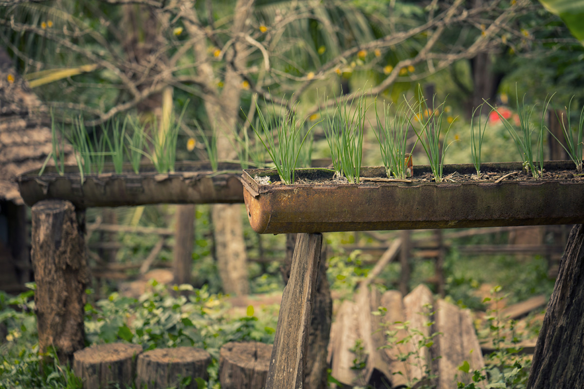 Bomb_casing_planters_MTBLAO_ToddMeier.jpg
